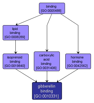 GO:0010331 - gibberellin binding (interactive image map)
