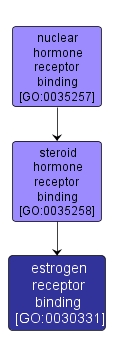 GO:0030331 - estrogen receptor binding (interactive image map)