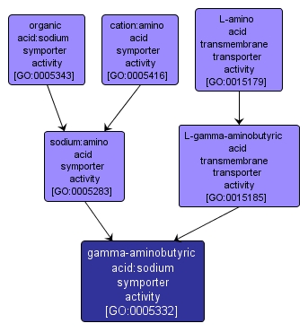 GO:0005332 - gamma-aminobutyric acid:sodium symporter activity (interactive image map)