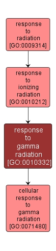 GO:0010332 - response to gamma radiation (interactive image map)