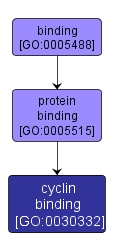 GO:0030332 - cyclin binding (interactive image map)