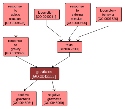 GO:0042332 - gravitaxis (interactive image map)