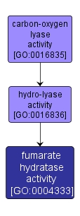 GO:0004333 - fumarate hydratase activity (interactive image map)