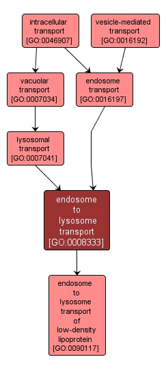 GO:0008333 - endosome to lysosome transport (interactive image map)