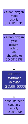 GO:0010333 - terpene synthase activity (interactive image map)