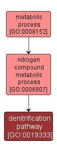 GO:0019333 - denitrification pathway (interactive image map)