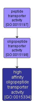 GO:0015334 - high affinity oligopeptide transporter activity (interactive image map)