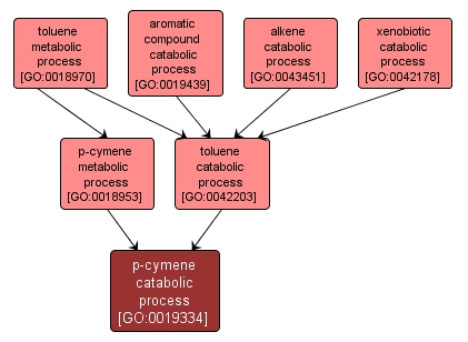 GO:0019334 - p-cymene catabolic process (interactive image map)