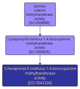 GO:0043334 - 2-hexaprenyl-6-methoxy-1,4-benzoquinone methyltransferase activity (interactive image map)
