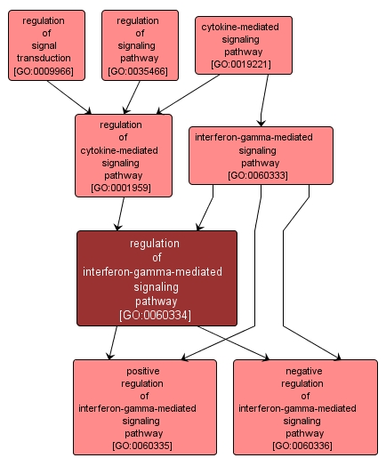 GO:0060334 - regulation of interferon-gamma-mediated signaling pathway (interactive image map)