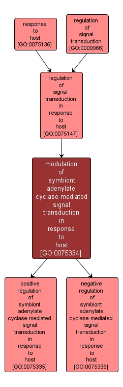 GO:0075334 - modulation of symbiont adenylate cyclase-mediated signal transduction in response to host (interactive image map)