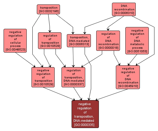 GO:0000335 - negative regulation of transposition, DNA-mediated (interactive image map)