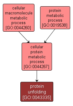 GO:0043335 - protein unfolding (interactive image map)