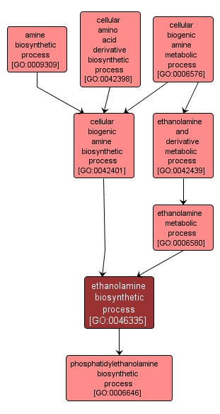 GO:0046335 - ethanolamine biosynthetic process (interactive image map)