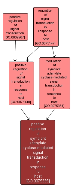 GO:0075335 - positive regulation of symbiont adenylate cyclase-mediated signal transduction in response to host (interactive image map)