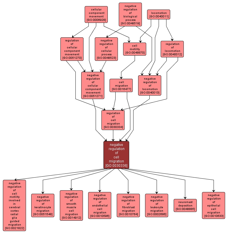 GO:0030336 - negative regulation of cell migration (interactive image map)