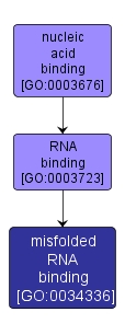 GO:0034336 - misfolded RNA binding (interactive image map)
