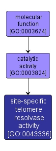 GO:0043336 - site-specific telomere resolvase activity (interactive image map)
