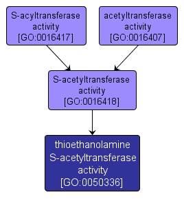 GO:0050336 - thioethanolamine S-acetyltransferase activity (interactive image map)