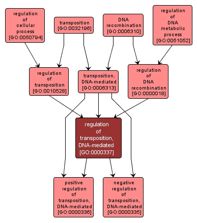 GO:0000337 - regulation of transposition, DNA-mediated (interactive image map)