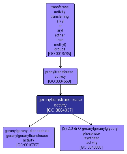 GO:0004337 - geranyltranstransferase activity (interactive image map)