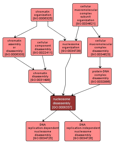 GO:0006337 - nucleosome disassembly (interactive image map)