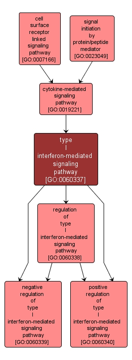 GO:0060337 - type I interferon-mediated signaling pathway (interactive image map)