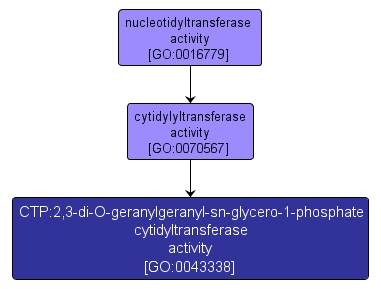 GO:0043338 - CTP:2,3-di-O-geranylgeranyl-sn-glycero-1-phosphate cytidyltransferase activity (interactive image map)
