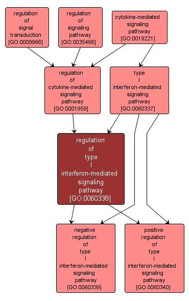 GO:0060338 - regulation of type I interferon-mediated signaling pathway (interactive image map)