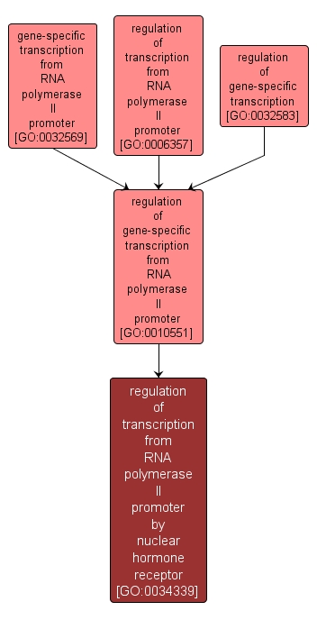 GO:0034339 - regulation of transcription from RNA polymerase II promoter by nuclear hormone receptor (interactive image map)