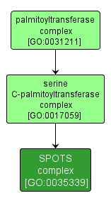 GO:0035339 - SPOTS complex (interactive image map)
