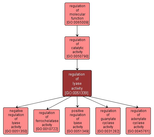 GO:0051339 - regulation of lyase activity (interactive image map)