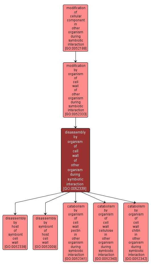 GO:0052339 - disassembly by organism of cell wall of other organism during symbiotic interaction (interactive image map)