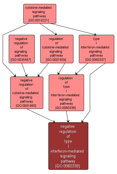 GO:0060339 - negative regulation of type I interferon-mediated signaling pathway (interactive image map)