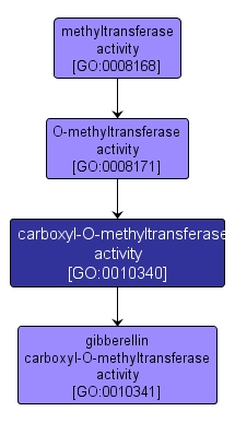 GO:0010340 - carboxyl-O-methyltransferase activity (interactive image map)