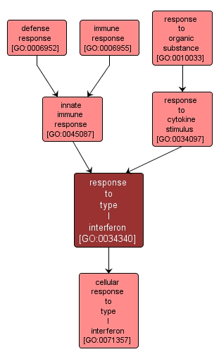 GO:0034340 - response to type I interferon (interactive image map)