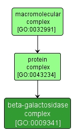 GO:0009341 - beta-galactosidase complex (interactive image map)