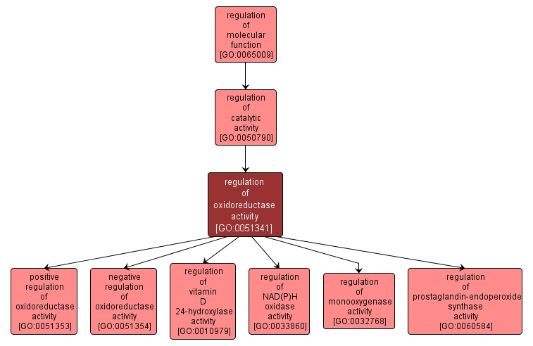 GO:0051341 - regulation of oxidoreductase activity (interactive image map)