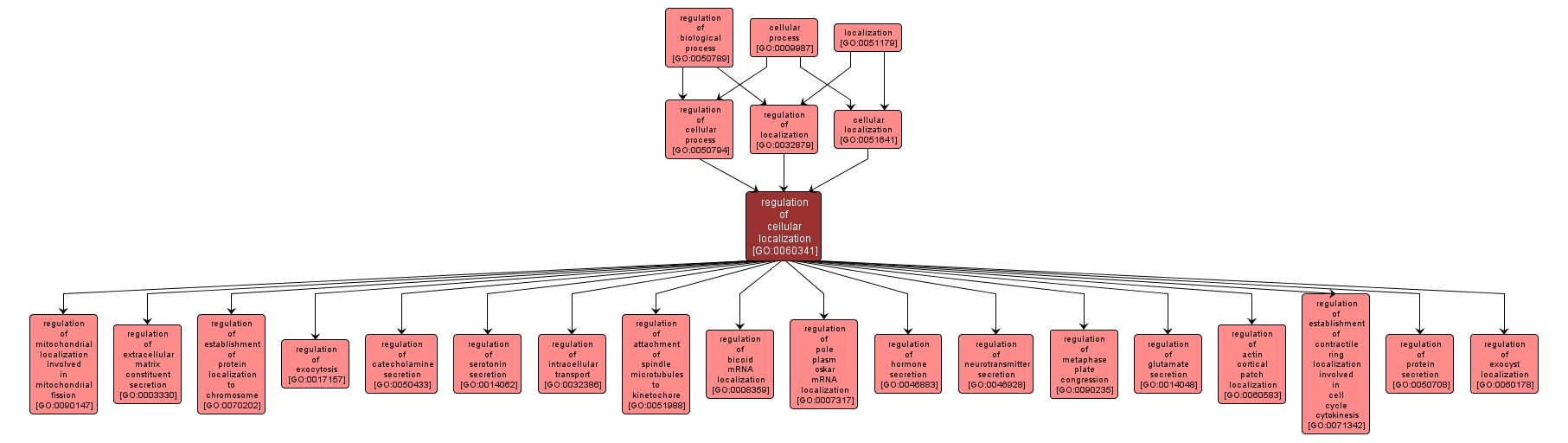 GO:0060341 - regulation of cellular localization (interactive image map)