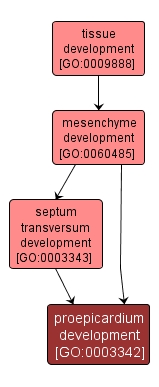 GO:0003342 - proepicardium development (interactive image map)