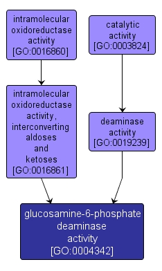 GO:0004342 - glucosamine-6-phosphate deaminase activity (interactive image map)