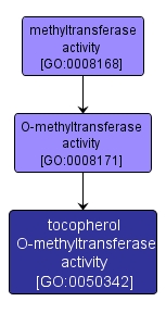 GO:0050342 - tocopherol O-methyltransferase activity (interactive image map)