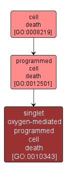 GO:0010343 - singlet oxygen-mediated programmed cell death (interactive image map)