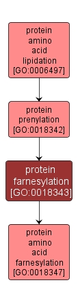 GO:0018343 - protein farnesylation (interactive image map)