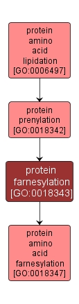 GO:0018343 - protein farnesylation (interactive image map)