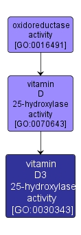 GO:0030343 - vitamin D3 25-hydroxylase activity (interactive image map)