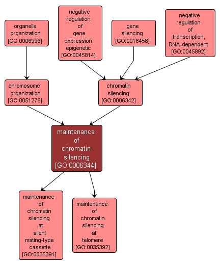 GO:0006344 - maintenance of chromatin silencing (interactive image map)