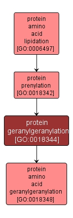 GO:0018344 - protein geranylgeranylation (interactive image map)
