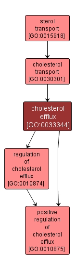 GO:0033344 - cholesterol efflux (interactive image map)