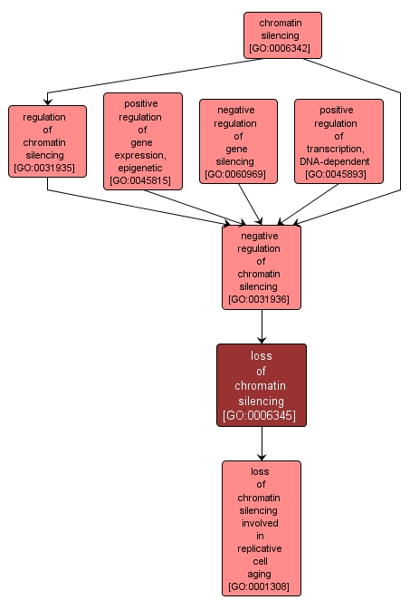 GO:0006345 - loss of chromatin silencing (interactive image map)